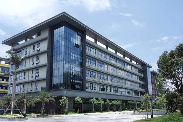 Company Profile
